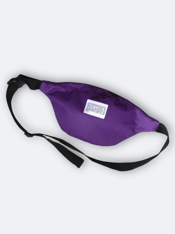 Carine Bum Bag - Image 3