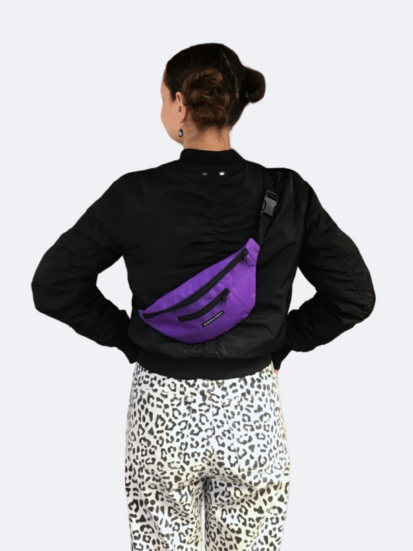 Carine Bum Bag - Image 4